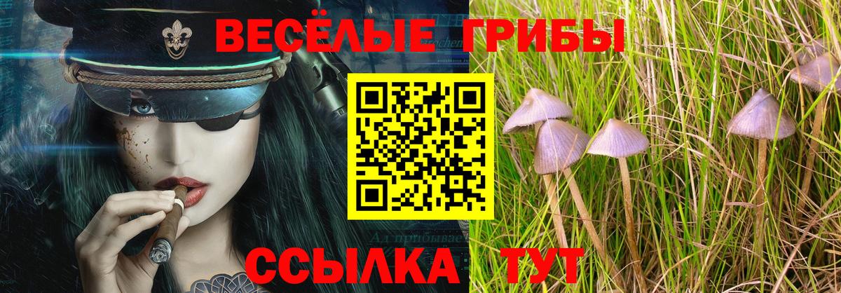 Галлюциногенные грибы мицелий Алушта