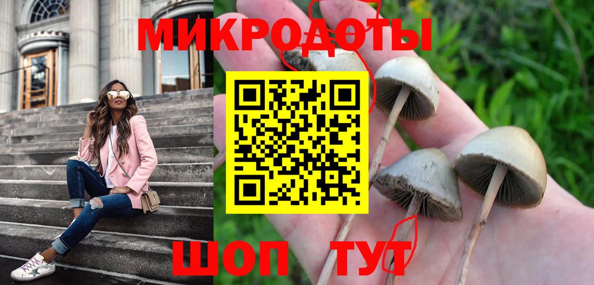 Псилоцибиновые грибы Psilocybine cubensis  цена наркотик  Алушта  Псилоцибиновые грибы ЛСД  Вход с VPN 
